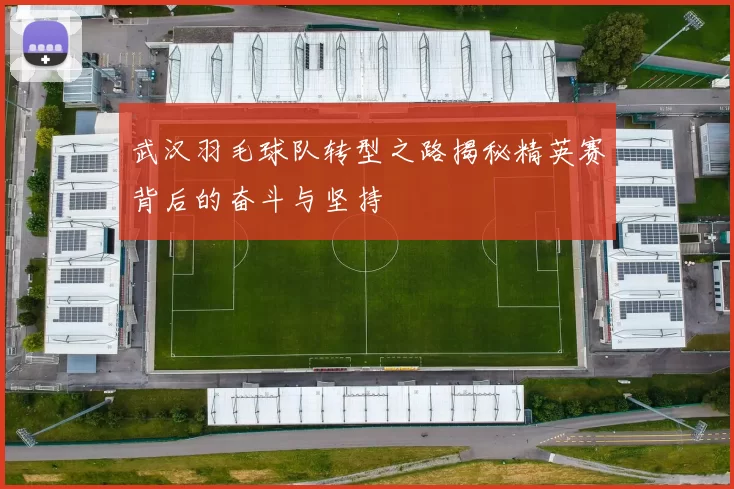 武汉羽毛球队转型之路揭秘精英赛背后的奋斗与坚持