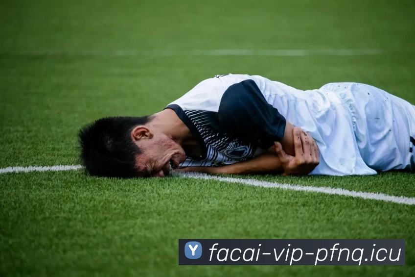 米兰体育服务体系